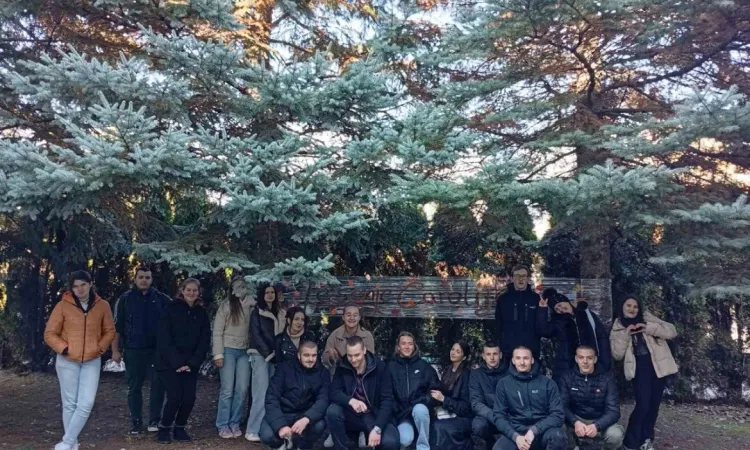 DC-VET WB Autumn Magic: Fostering Social Inclusion Through Art and Collaboration